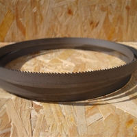 1300x13x0,65 M42 14/18 pilový pás