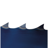 Pilový pás 5611 x 20 x 0.7 mm 3 TPI