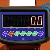 Holzmann paletový vozík s váhou HUB 25KG
