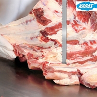 1600x19x0,55 pilový pás na maso s kostí STARRETT MEATKUTTER PREMIUM 4 tpi