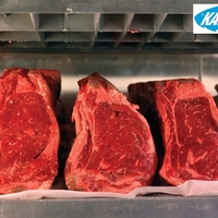 1700x19x0,55 pilový pás na maso s kostí STARRETT MEATKUTTER PREMIUM 4 tpi